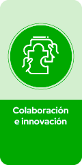 Colaboración e innovación